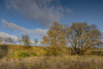  Late Autumn Landscape Under Cloudy Sky
