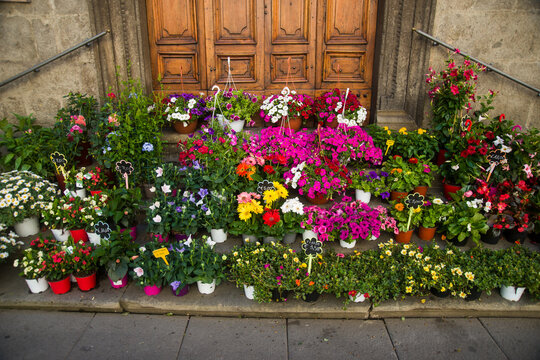 Vasi di fior&igrave; misti