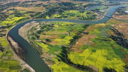 Bogura, Bangladesh - 21 August 2025: Aerial view of a winding river cutting through a vibrant landscape of agricultural fields, showcasing a stunning contrast of colors.