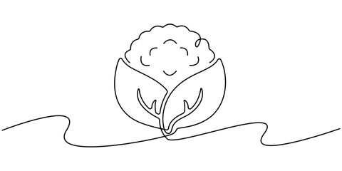 Continuous line drawing of whole healthy organic cauliflower broccoli for farm logo identity. One line art concept for fresh vegetable icon. Vector illustration. 
