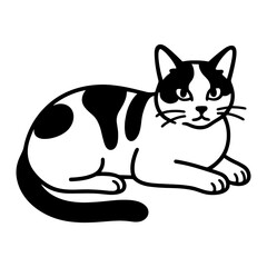 Calico Cat Laying Down