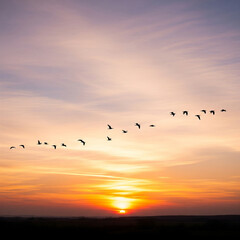 Obraz premium sunset over the lake. sunset over the sea. Mystical sunset over an ocean, birds disappearing into the sky, warm brown and gold colors.