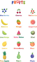 Colorful Tropical Fruits Illustration. Colorful fruit collection blueberries cherries watermelon and more fruits vector illustration