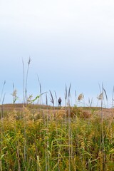 Solitary figure on a hill in nature