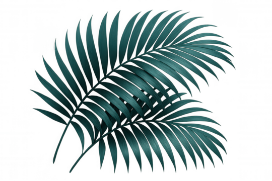 Vibrant emerald palm leaves layering against transparent backdrop, creating lush tropical design element with verdant green texture