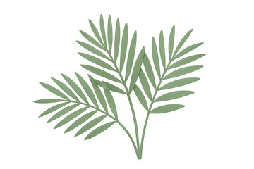 Fototapeta premium 3d rendering of realistic green palm tree leaves isolated on transparent background, perfect for summer and tropical designs