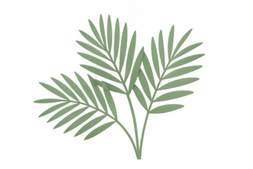 3d rendering of realistic green palm tree leaves isolated on transparent background, perfect for summer and tropical designs