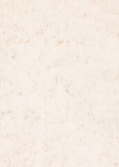 Vintage Textured Pale Paper Page Surface