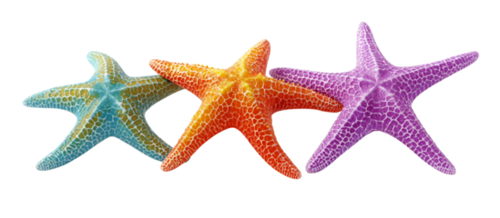 three colorful starfish on a white background, with no shadows, in a clip art style