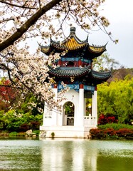 Fototapeta premium Peaceful Asian Pavilion by a Pond