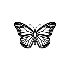 Obraz premium Silhouette Butterfly Illustration with Intricate Wing Patterns and Delicate Antennae Black and White Image