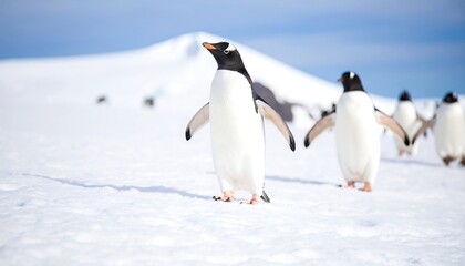 Penguins on snowy landscape (1)