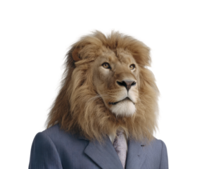 Majestic lion in business suit digital impressive concept isolated on transparent background, png