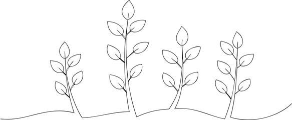  continuous line drawing of step of tree growth  eps
