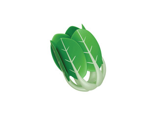 Bok choy icon 3d illustration render