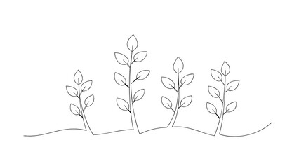  continuous line drawing of step of tree growth  jpg  