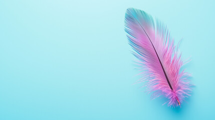 Obraz premium Minimalistic Mardi Gras background, isolated feather in Mardi Gras colors on blue background, space for text.