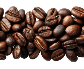 Brewing perfect coffee beans coffee shop product warm lighting isolated on transparent background, png