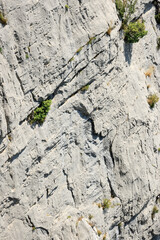 Limestone detail of a rock face in the Verdon Gorge - also Gorges du Verdon or Grand Canyon du Verdon - Geological formations over time - Provence, France 2025