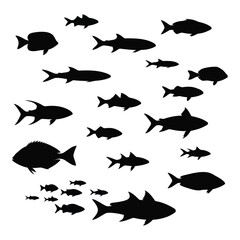 Fototapeta premium Silhouette of a school of diverse fish swimming in ocean water aquatic life forms underwater scene silhouette