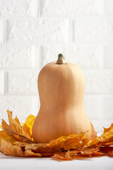 Butternut Squash with Autumn Leaves