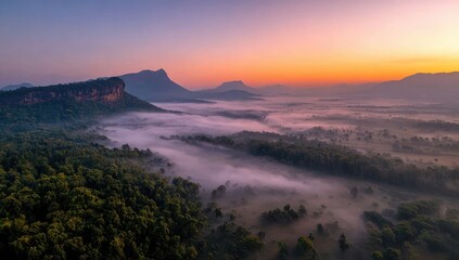 Misty mountain valley at sunrise. Lush forest valley shrouded in morning mist, with a dramatic mountain range in the distance, bathed in the soft light of sunrise