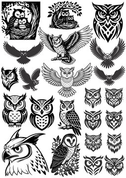 Pack Vetorial de Corujas &ndash; Silhuetas e Ilustra&ccedil;&otilde;es Estilizadas

Descri&ccedil;&atilde;o:
Conjunto de vetores de corujas em diferentes estilos, incluindo silhuetas, ilustra&ccedil;&otilde;es detalhadas e desenhos decorativos. 