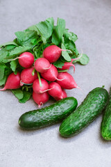 Radish and cucumbers on a gray background. fresh vegetables