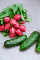 Radish and cucumbers on a gray background. fresh vegetables