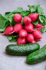 Radish and cucumbers on a gray background. fresh vegetables