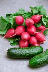 Radish and cucumbers on a gray background. fresh vegetables