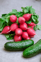 Radish and cucumbers on a gray background. fresh vegetables