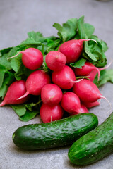Radish and cucumbers on a gray background. fresh vegetables