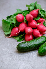 Radish and cucumbers on a gray background. fresh vegetables