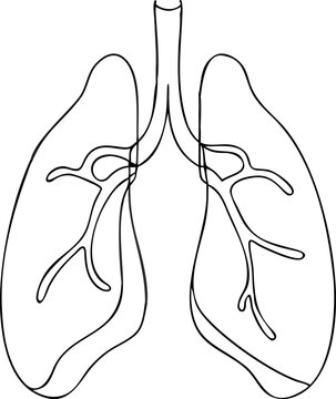 lung single line illustration drawing eps
