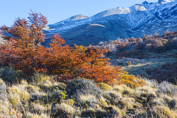 Autumn in Patagonia