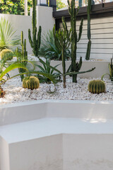 A stylish garden space showcases various cacti and succulents arranged on white gravel, creating a vibrant, low-maintenance landscape. Lush greenery adds texture and interest