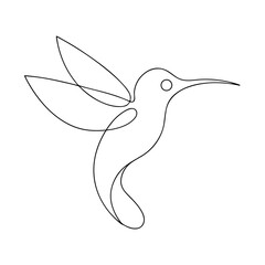   humming bird  art illustration eps on white background