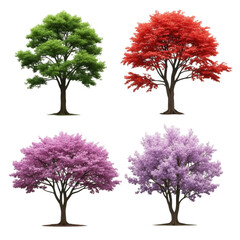 Obraz premium Four diverse seasonal trees featuring green red pink and purple foliage collection transparent background