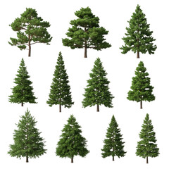 Obraz premium Collection of diverse evergreen trees for landscape design and nature projects transparent background