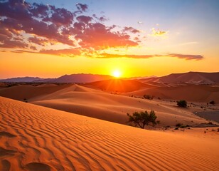 Desert sunset panorama