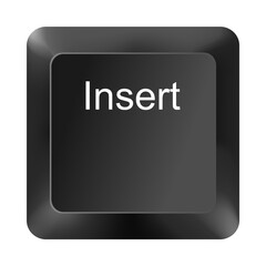 Insert key button from computer keyboard isolated on white background, black keycap with insert text used for editing and functional commands in computing