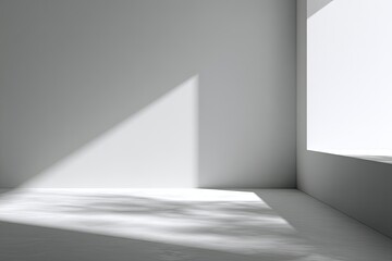 Minimalist white room with sunlight casting angled shadows and subtle leaf patterns on the floor