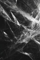 Abstract monochrome image of tangled, translucent, fibrous material against a dark background; suggestive of a web or netting