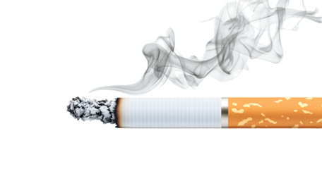 A cigarette is lit and the smoke is billowing out of it