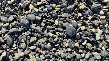 wet river pebbles with mixed colors and glossy surface forming natural stone texture for background or design element