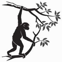 silhouette of a monkey