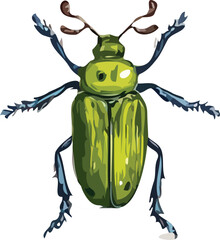 Insect vector art