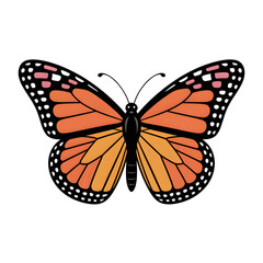 Fototapeta premium Monarch butterfly with orange and black wings isolated on transparent background