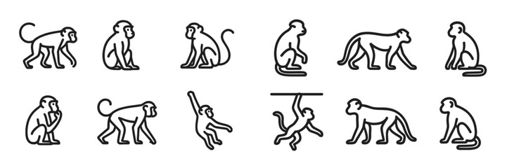 Monkey Poses and Actions Collection, Minimalist flat design © icon_art